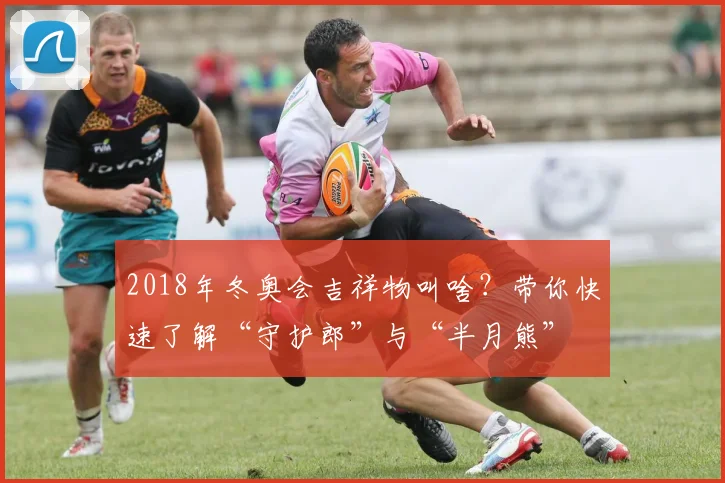 2018年冬奥会吉祥物叫啥？带你快速了解“守护郎”与“半月熊”